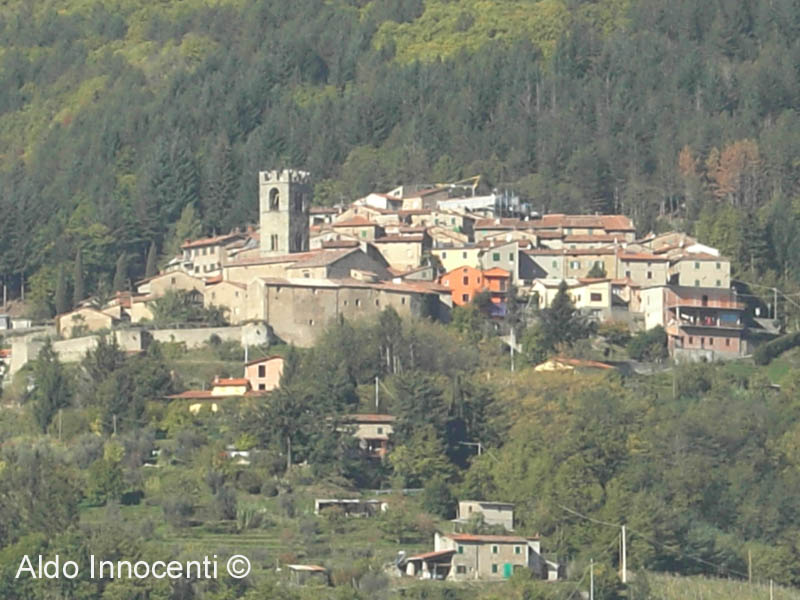 ALTRA IMMAGINE PANORAMICA DI S. QUIRICO
